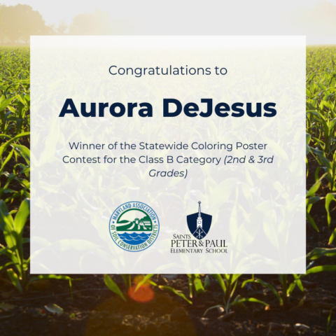 Congratulations to
